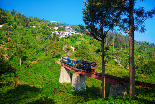 ニルギリ山岳鉄道／インドの山岳鉄道群