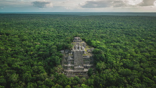 カンペチェ州カラクムルの古代マヤ都市と熱帯保護林