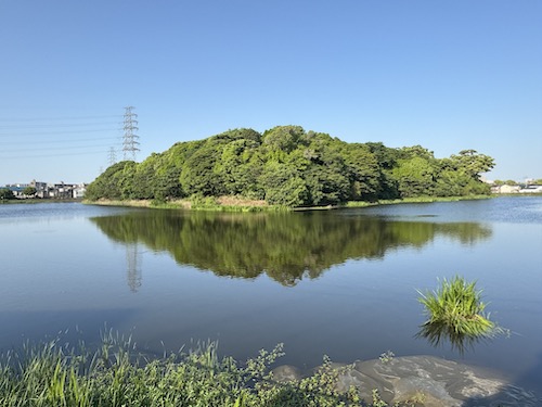 御廟山古墳／百舌鳥エリア