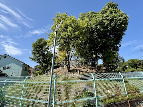 塚廻古墳／百舌鳥エリア