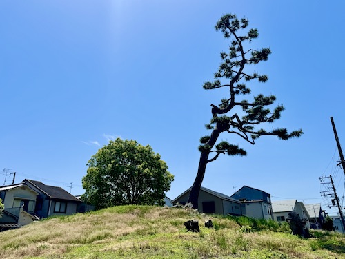 菰山塚（こもやまづか）古墳／百舌鳥エリア