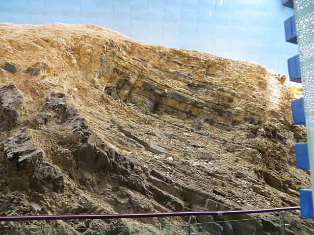 澄江の化石産地