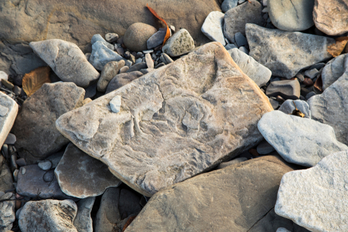 ジョギンズの化石断崖群