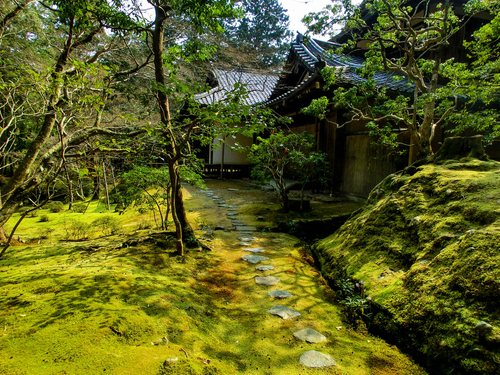 西芳寺（苔寺）／古都京都の文化財