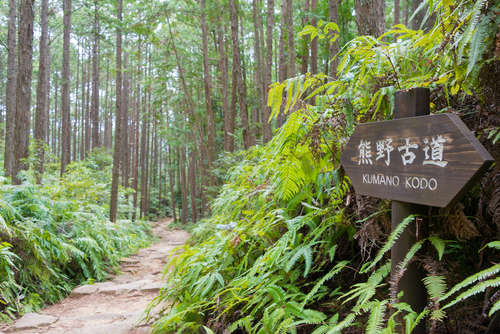 熊野参詣道／紀伊山地の霊場と参詣道