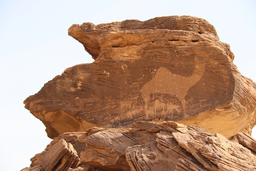 ヒマー・ナジュラーンの文化的岩絵群／サウジアラビアの世界遺産