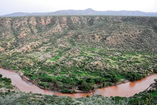 アワッシュ川下流域／エチオピアの世界遺産