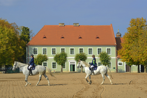 クラドルビ・ナト・ラベムの儀礼用馬車馬の繁殖・訓練の景観／チェコの世界遺産