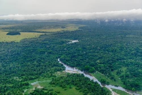 オザラ・コクア森林山塊／コンゴ共和国／2023年に登録された世界遺産
