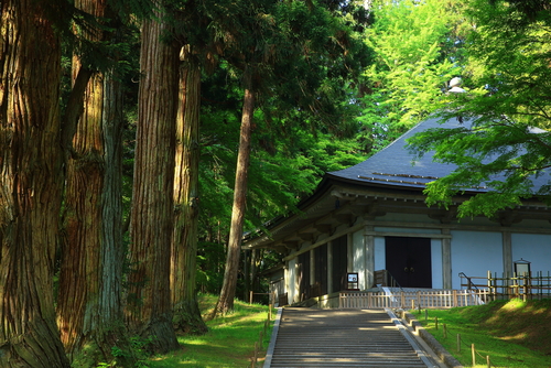 平泉―仏国土（浄土）を表す建築・庭園及び考古学的遺跡群―／日本の世界遺産