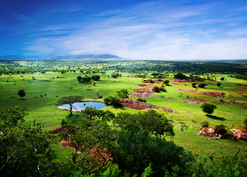 セレンゲティ国立公園／タンザニアの世界遺産
