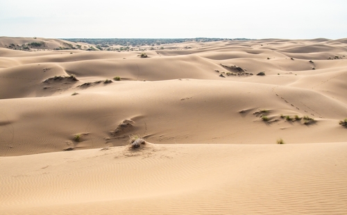 寒冬のトゥラン砂漠群／ウズベキスタンの世界遺産