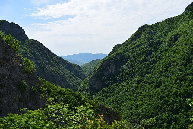 カルパティア山脈とヨーロッパ各地の古代及び原生ブナ林／アルバニアの世界遺産