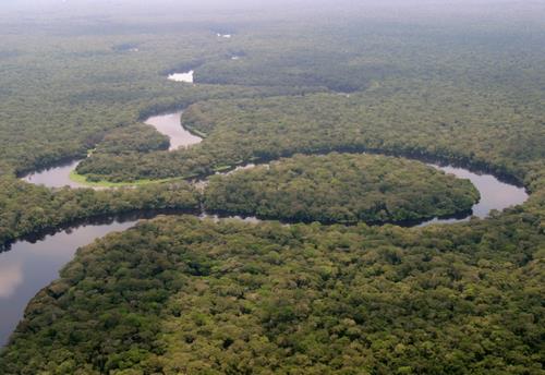 サロンガ国立公園／コンゴ民主共和国の世界遺産