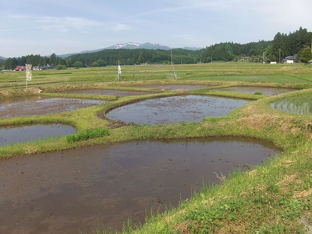 骨寺村荘園遺跡と農村景観