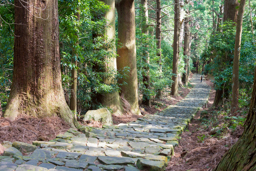熊野古道（熊野参詣道）／和歌山県の世界遺産