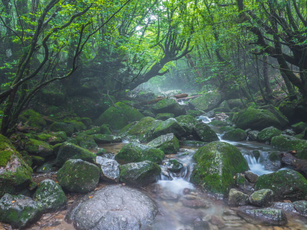 屋久島