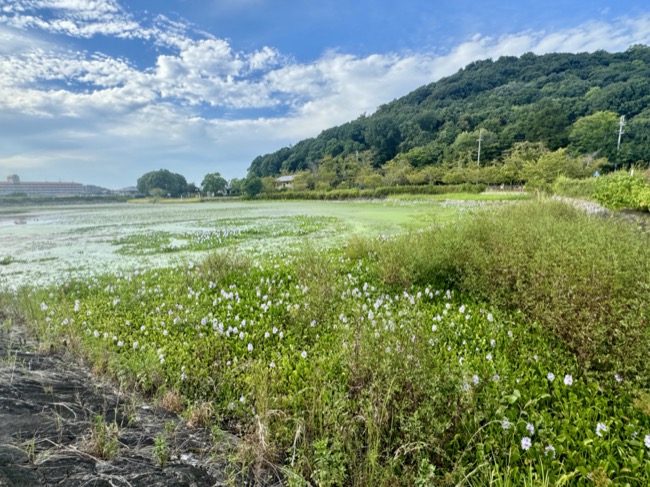 耳成山公園